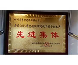 2015ȵн蹤̰ȫȽ